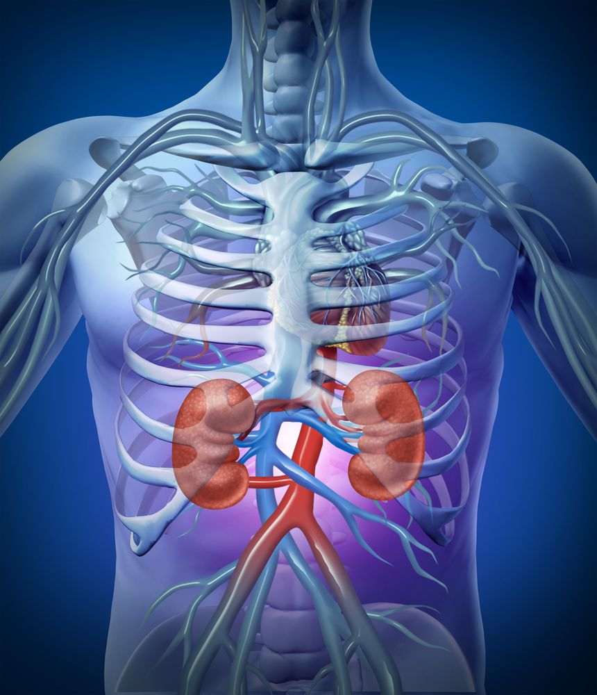What Are the Most Common Kidney Diseases? 6 Kidney Diseases